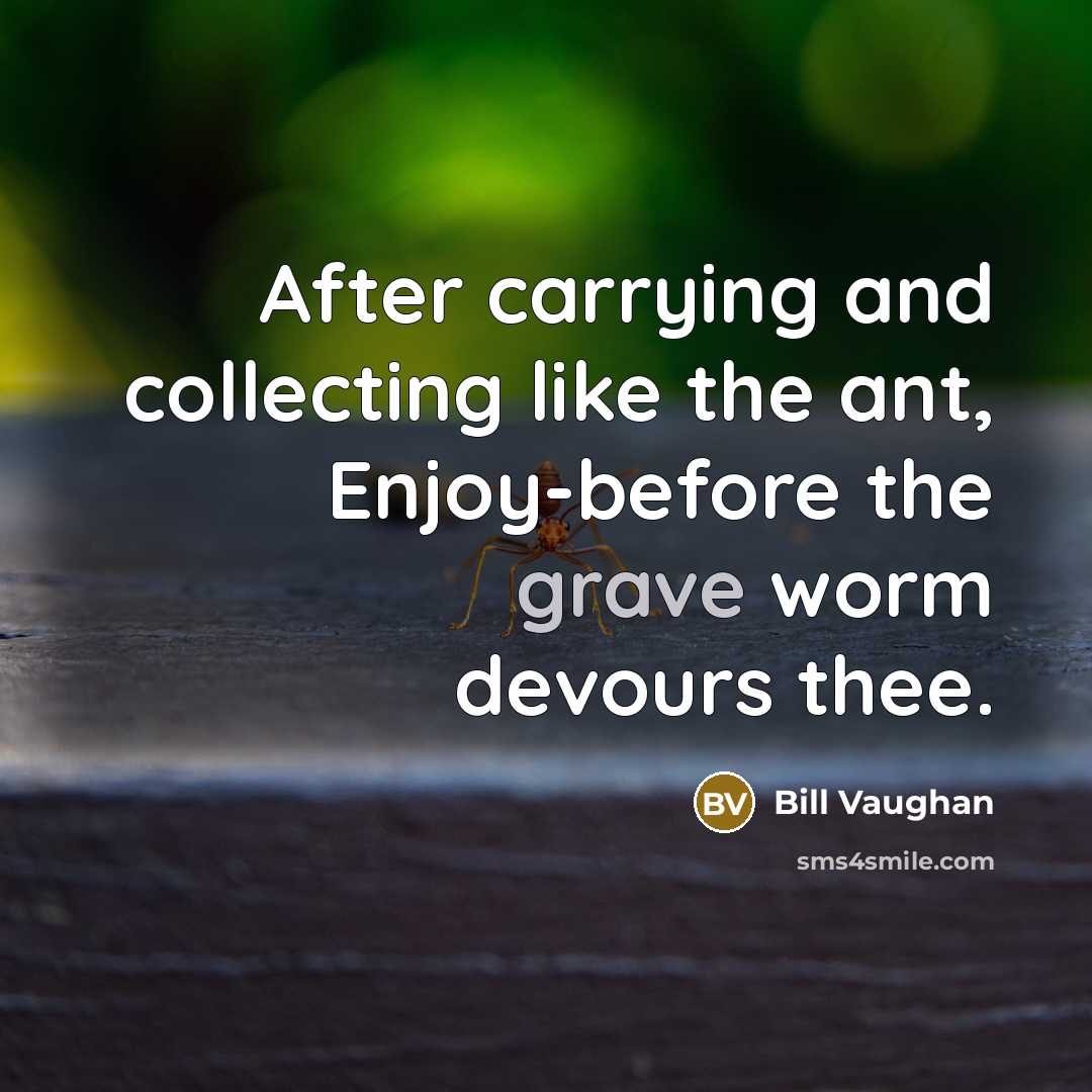 “After carrying and collecting like the ant, Enjoy-before the grave…” quote by Bill Vaughan