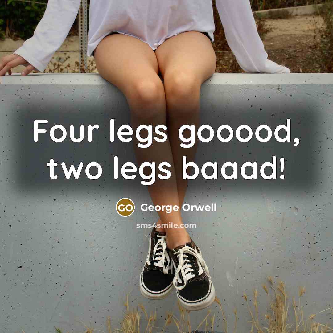 “Four legs gooood, two legs baaad!…” quote by George Orwell