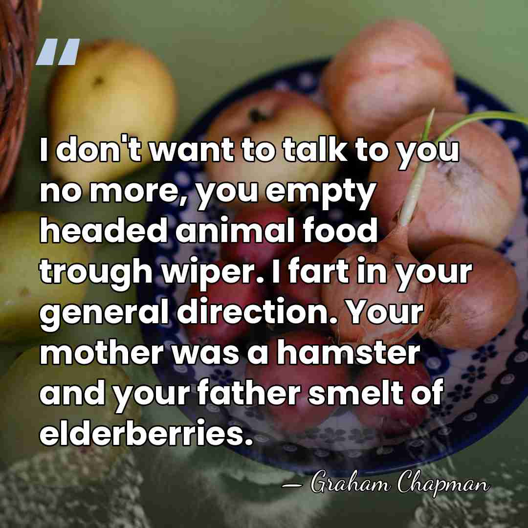 I don't want to talk to you no more, you empty headed&hellip; - Graham Chapman