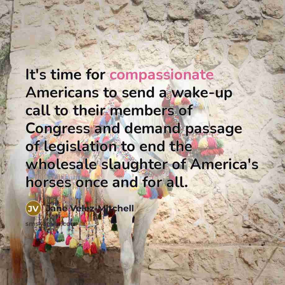 “It's time for compassionate Americans to send a wake-up call…” quote by Jane Velez-Mitchell
