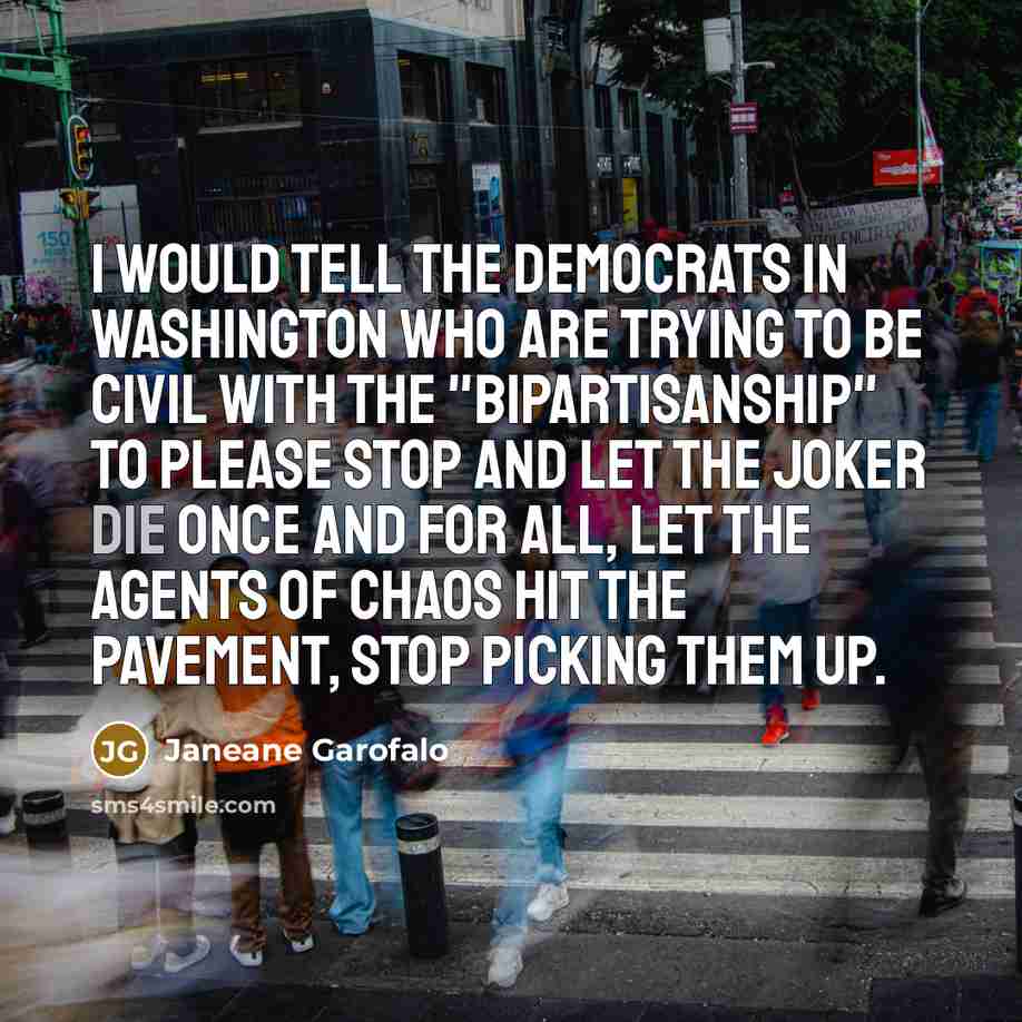 “I would tell the Democrats in Washington who are trying…” quote by Janeane Garofalo