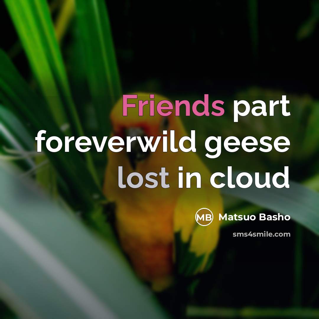 “Friends part foreverwild geese lost in cloud” quote by Matsuo Basho