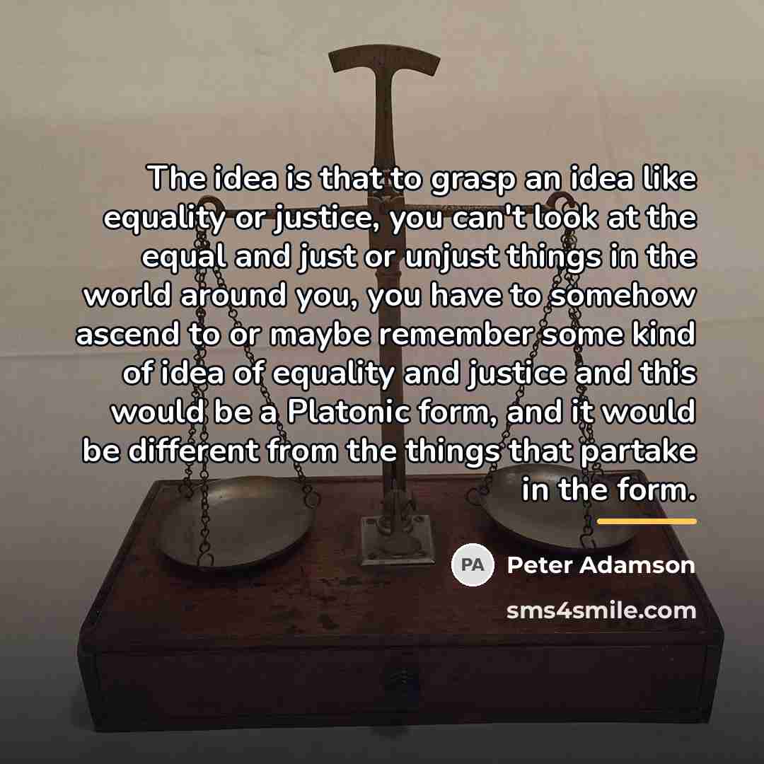 “The idea is that to grasp an idea like equality…” quote by Peter Adamson