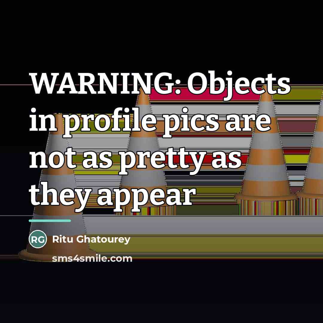 “WARNING: Objects in profile pics are not as pretty as…” quote by Ritu Ghatourey