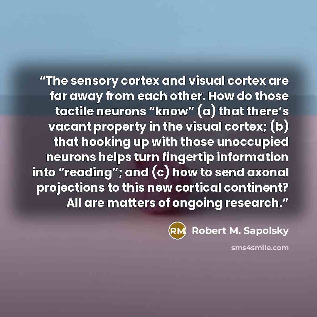 “The sensory cortex and visual cortex are far away from each other. How do those tactile neurons “know” (a) that there’s vacant property in the visual cortex; (b) that hooking up with those unoccupied neurons helps turn fingertip information into “reading”; and (c) how to send axonal projections to…” quote by Robert M. Sapolsky