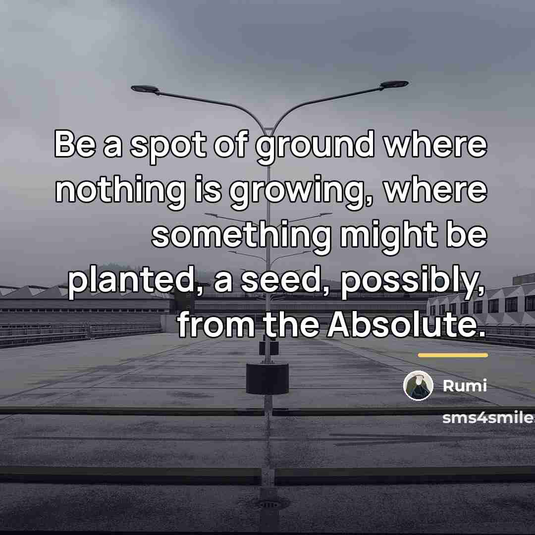“Be a spot of ground where nothing is growing, where…” quote by Rumi