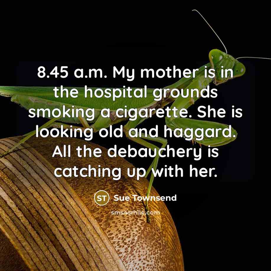 “8.45 a.m. My mother is in the hospital grounds smoking…” quote by Sue Townsend