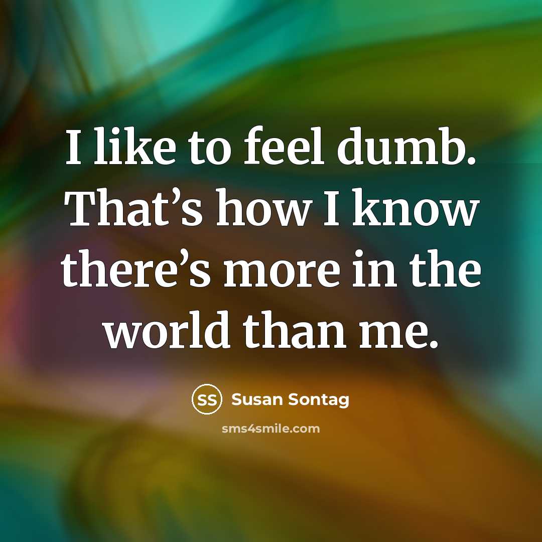 “I like to feel dumb. That’s how I know there’s…” quote by Susan Sontag