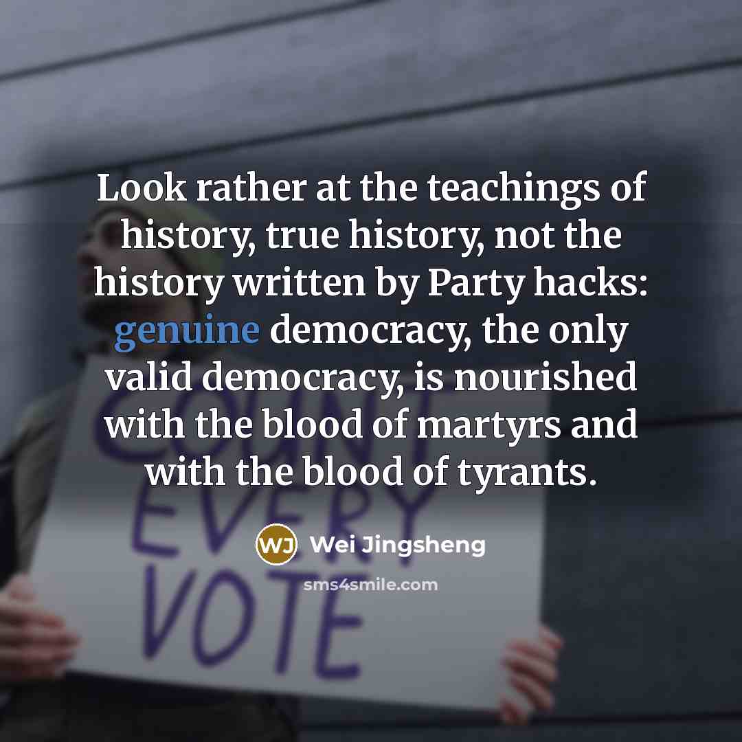 “Look rather at the teachings of history, true history, not…” quote by Wei Jingsheng