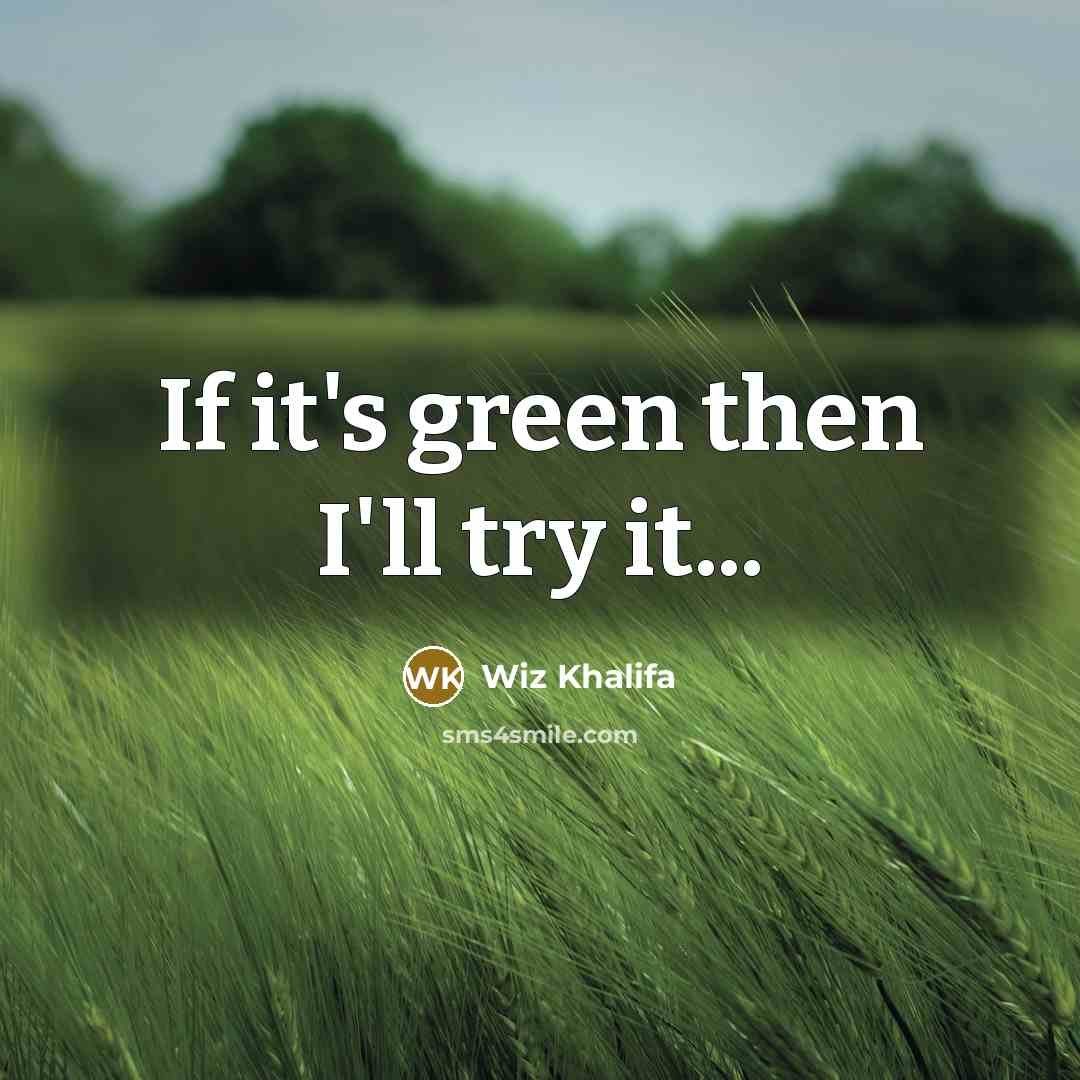“If it's green then I'll try it...…” quote by Wiz Khalifa
