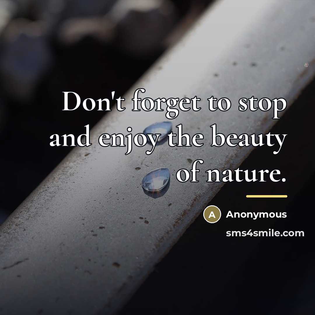 “Don't forget to stop and enjoy the beauty of nature.…” quote by Anonymous