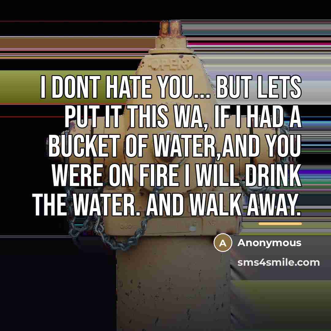 “I dont hate you... but lets put it this wa,…” quote by Anonymous
