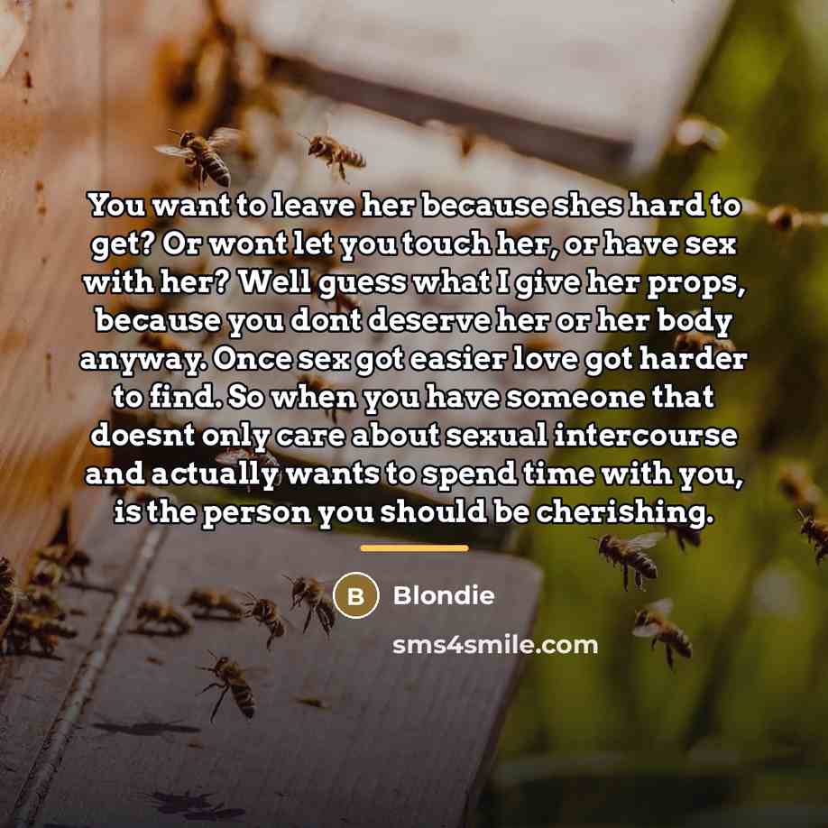 “You want to leave her because shes hard to get?…” quote by Blondie