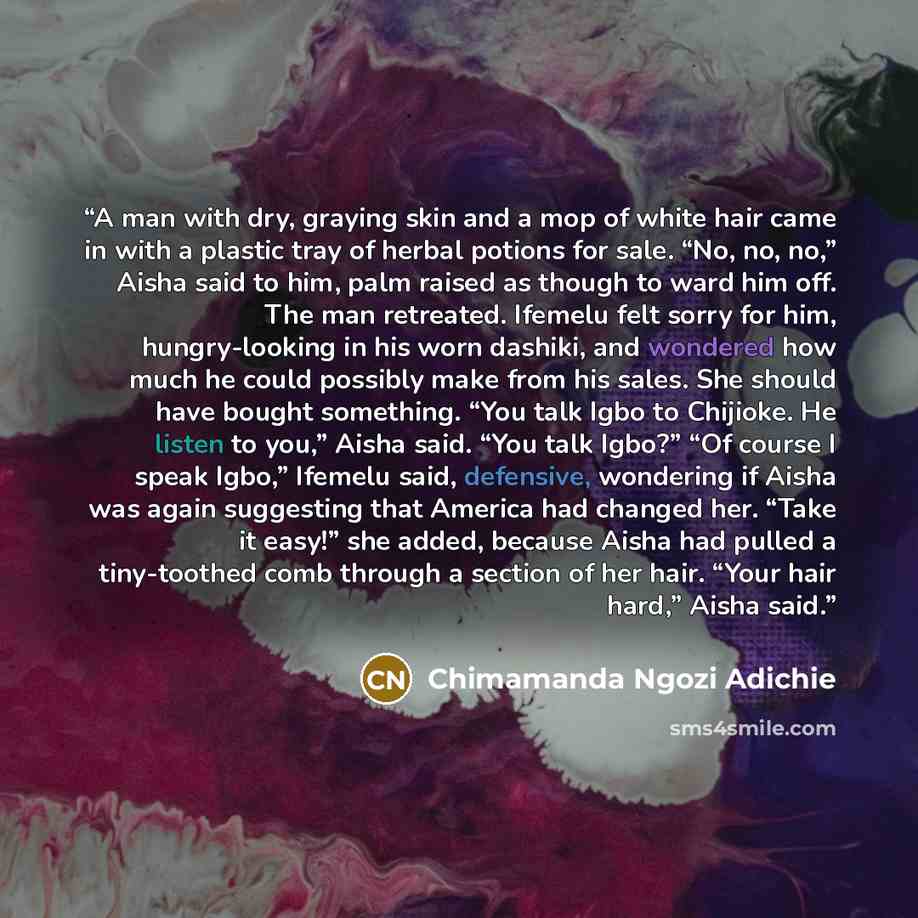 “A man with dry, graying skin and a mop of white hair came in with a plastic tray of herbal potions for sale. “No, no, no,” Aisha said to him, palm raised as though to ward him off. The man retreated. Ifemelu felt sorry for him, hungry-looking in his worn dashiki, and wondered how much he could…” quote by Chimamanda Ngozi Adichie