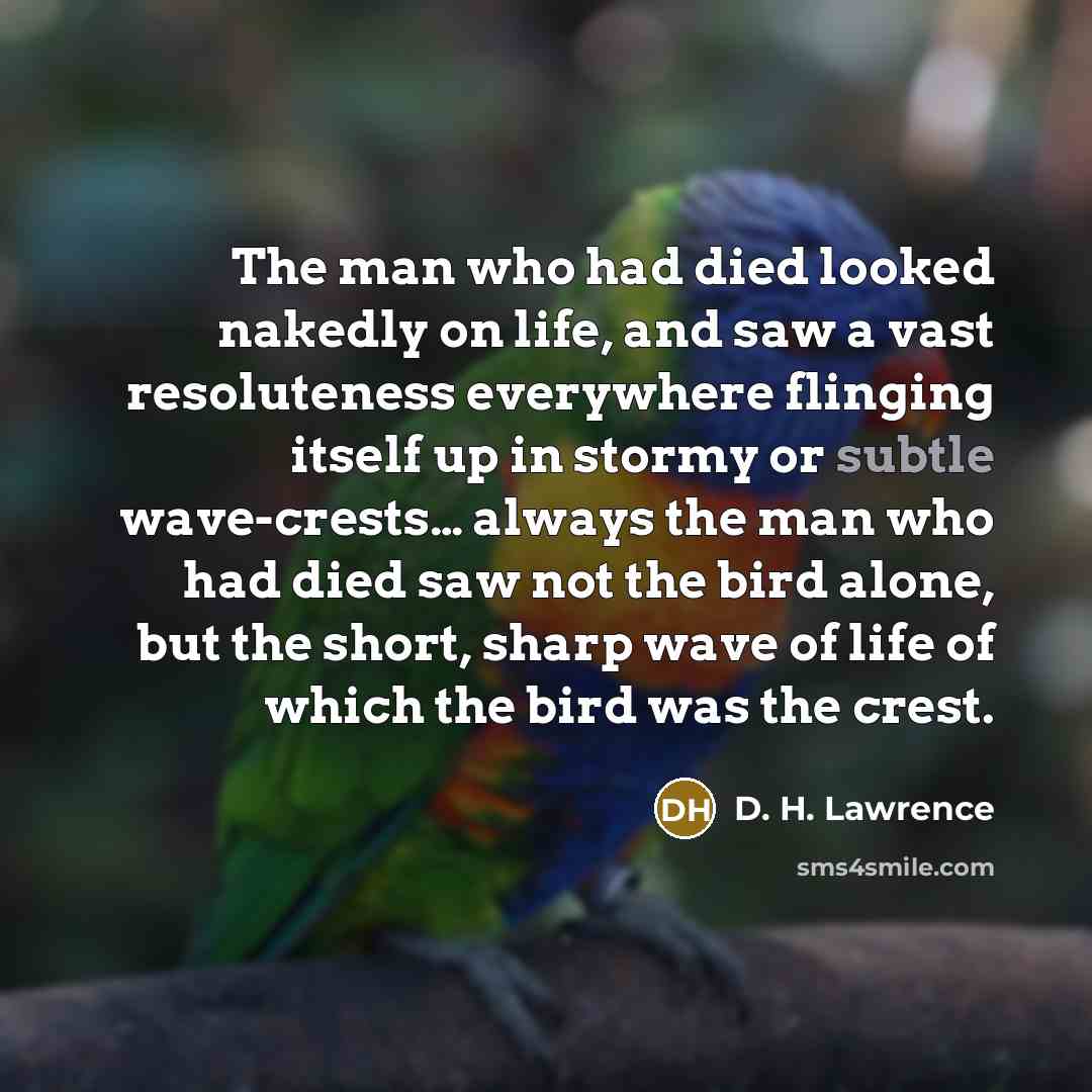 “The man who had died looked nakedly on life, and…” quote by D. H. Lawrence