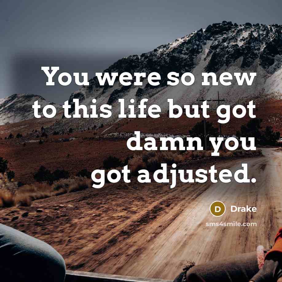 “You were so new to this life but got damn you got adjusted.” quote by Drake