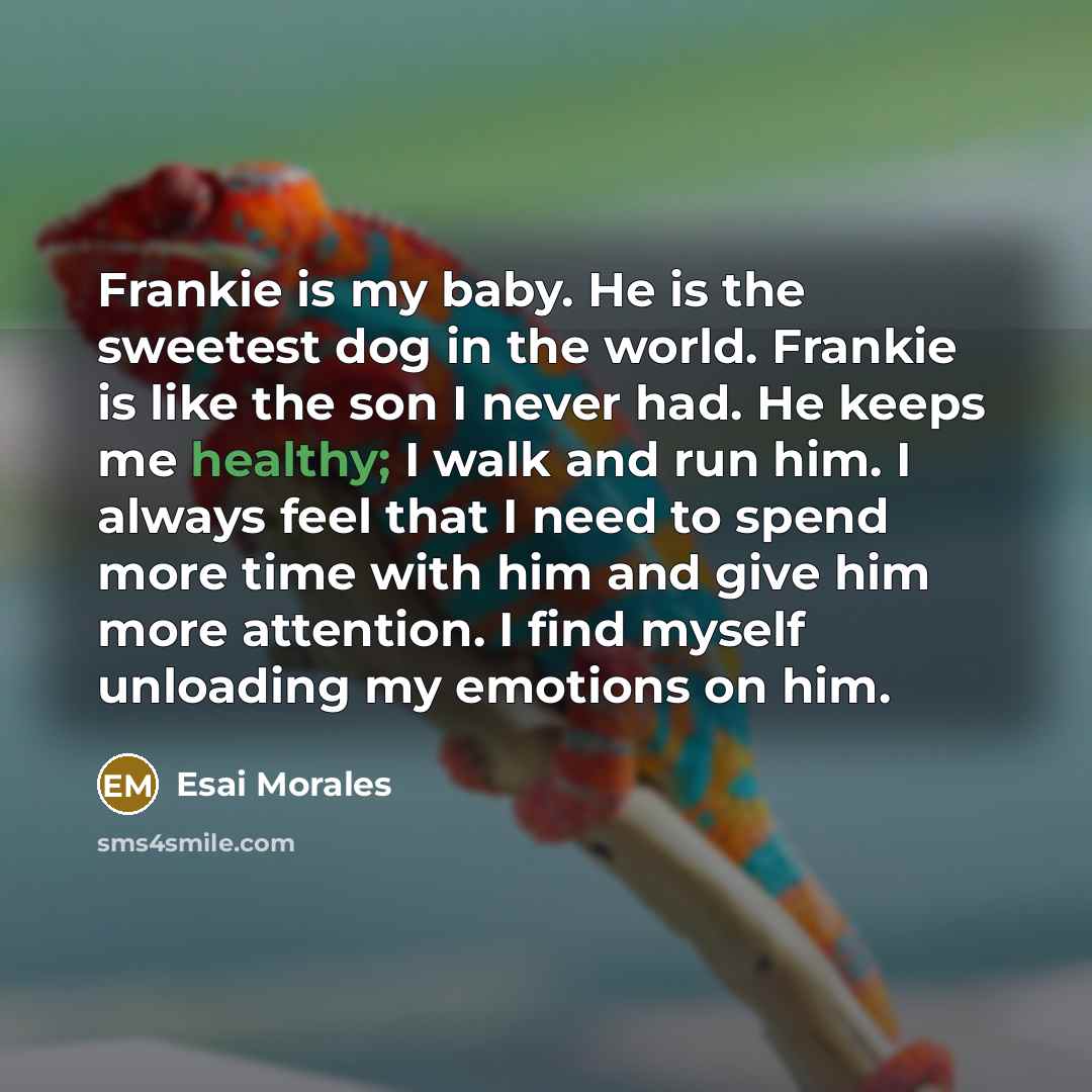 “Frankie is my baby. He is the sweetest dog in…” quote by Esai Morales