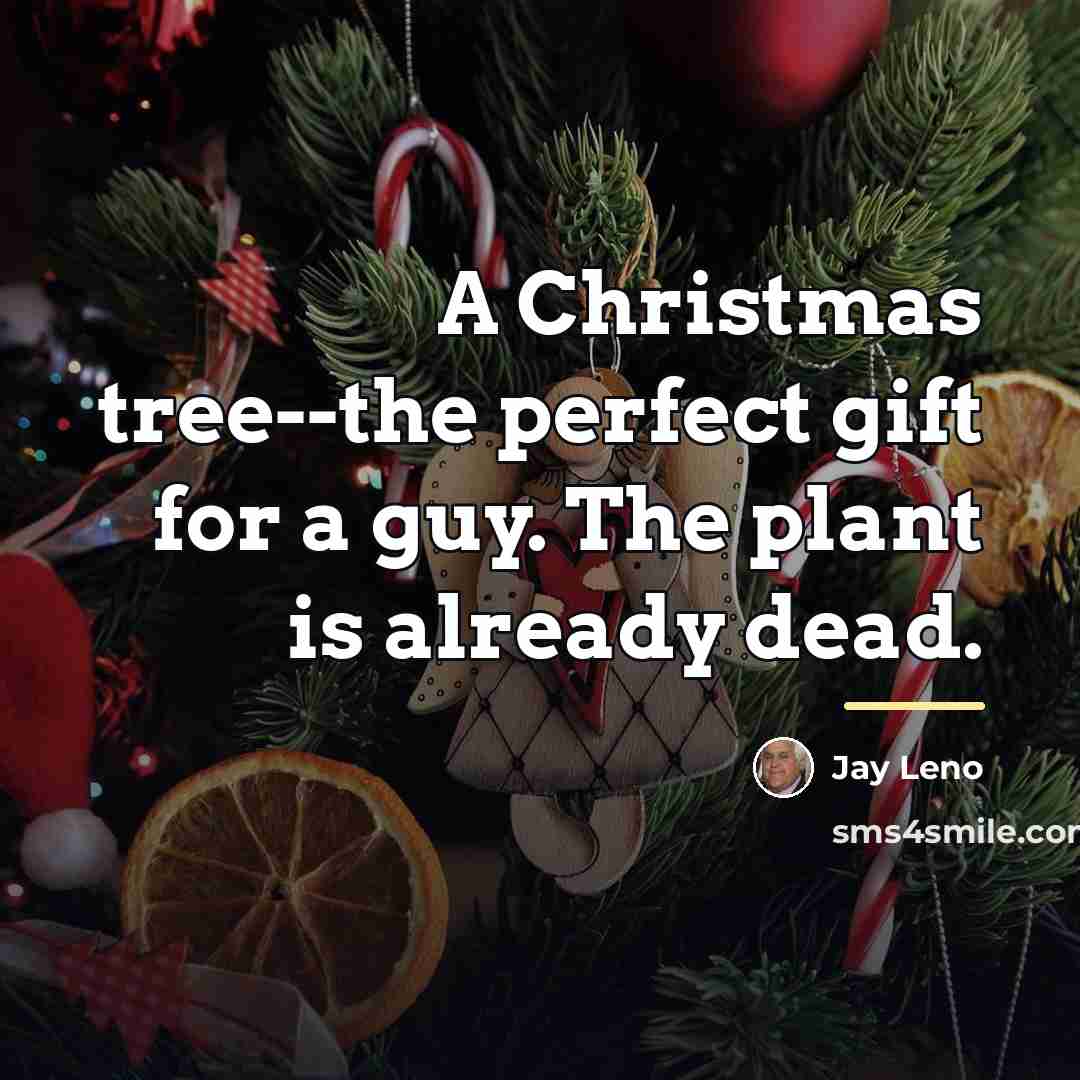 “A Christmas tree--the perfect gift for a guy. The plant…” quote by Jay Leno