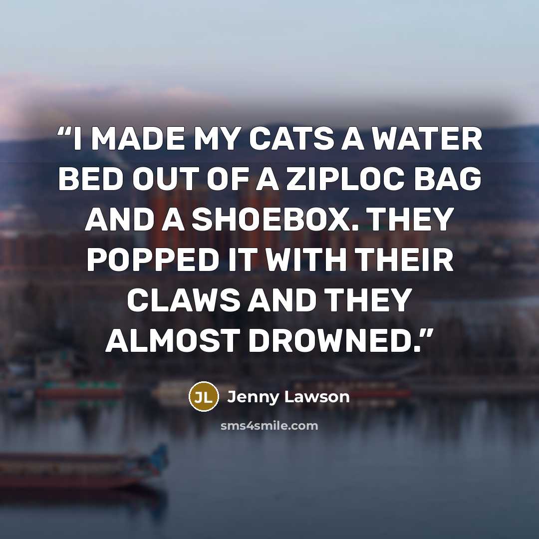 “I MADE MY CATS A WATER BED OUT OF A ZIPLOC BAG AND A SHOEBOX. THEY POPPED IT WITH THEIR CLAWS AND THEY ALMOST DROWNED.” quote by Jenny Lawson