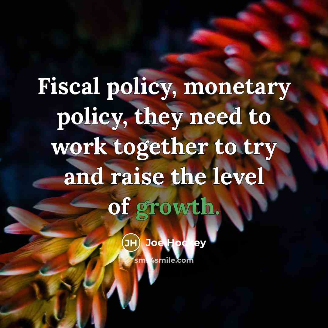 “Fiscal policy, monetary policy, they need to work together to…” quote by Joe Hockey