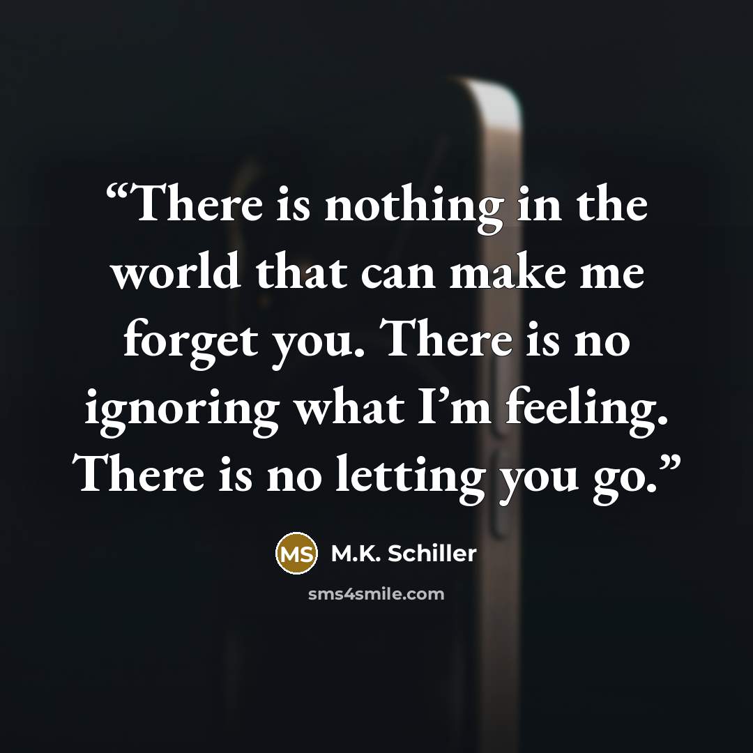 “There is nothing in the world that can make me forget you. There is no ignoring what I’m feeling. There is no letting you go.” quote by M.K. Schiller