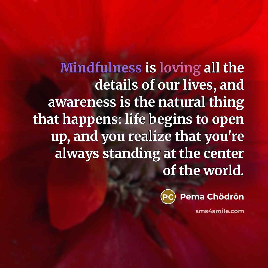 “Mindfulness is loving all the details of our lives, and…” quote by Pema Chodron