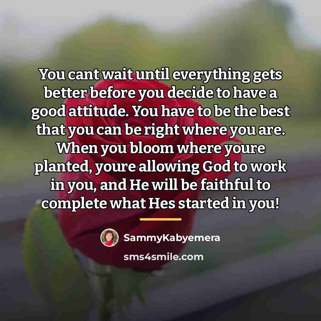 “You cant wait until everything gets better before you decide…” quote by Sammykabyemera