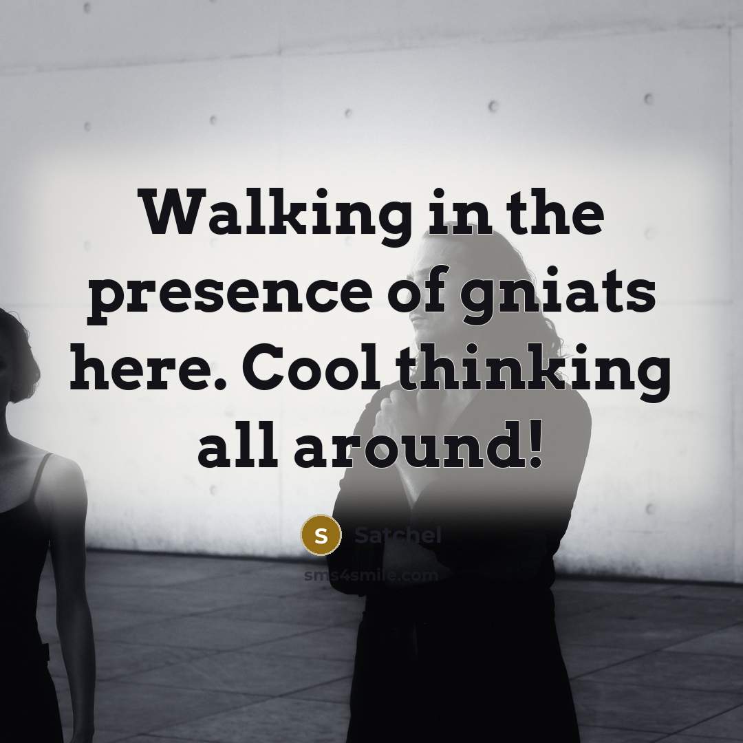 “Walking in the presence of gniats here. Cool thinking all…” quote by Satchel