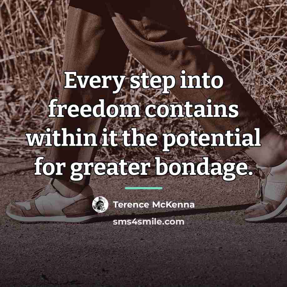 “Every step into freedom contains within it the potential for…” quote by Terence McKenna