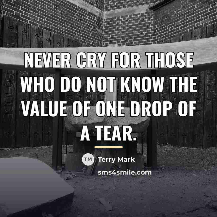 “Never cry for those who do not know the value…” quote by Terry Mark