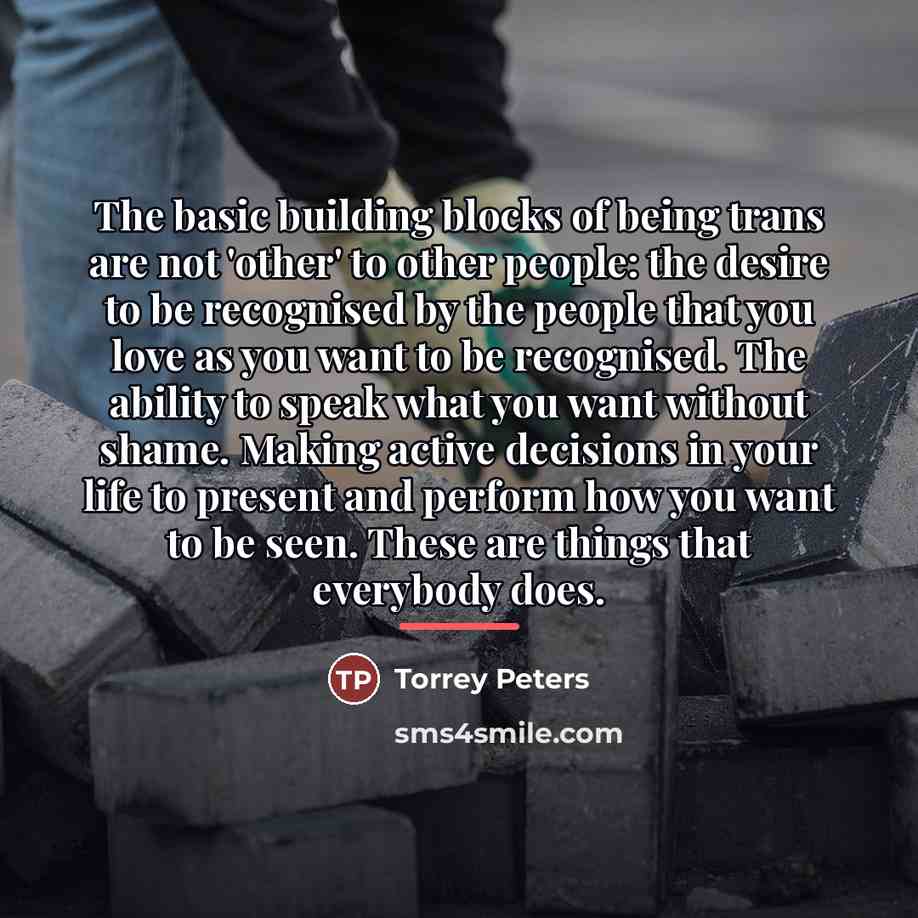 “The basic building blocks of being trans are not 'other'…” quote by Torrey Peters