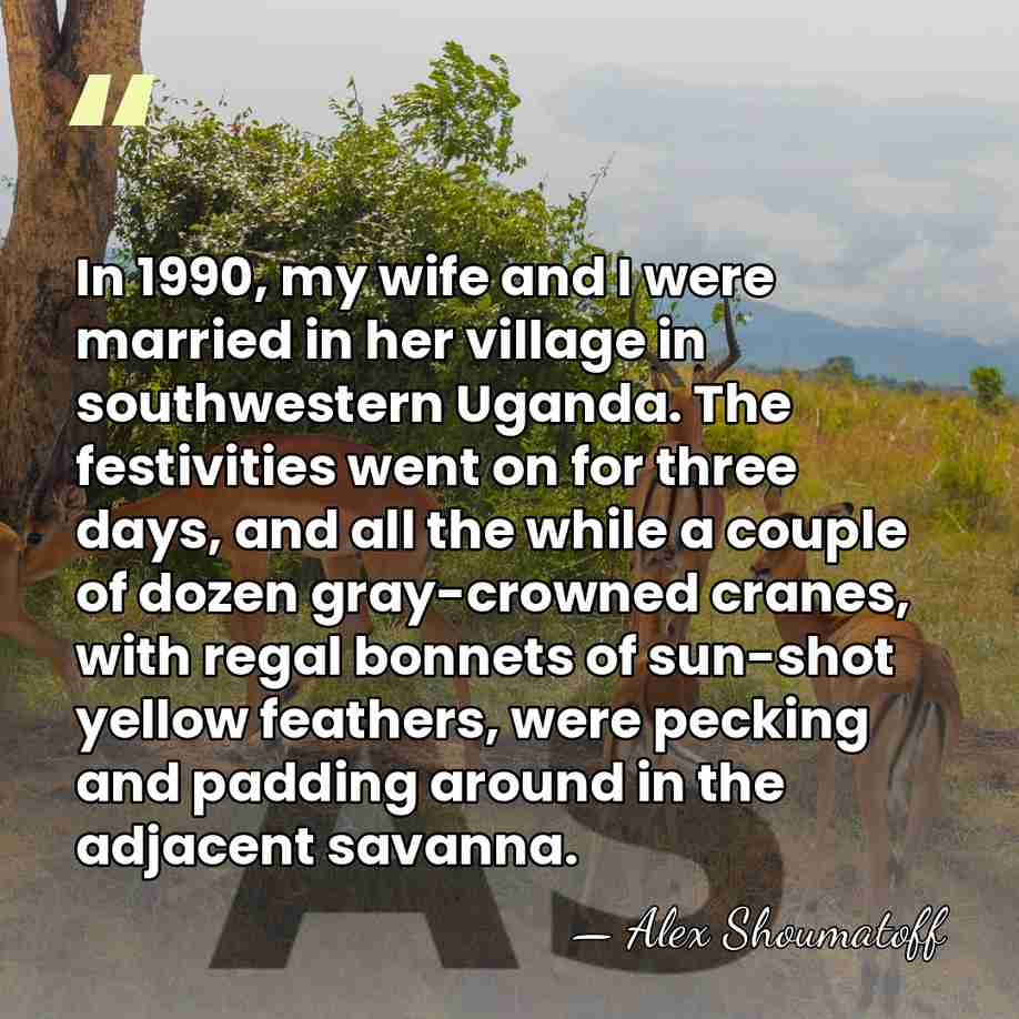 In 1990, my wife and I were married in her village in&hellip; - Alex Shoumatoff