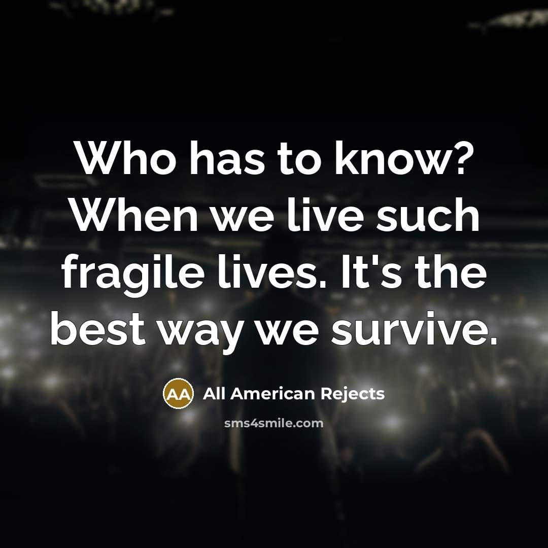 “Who has to know? When we live such fragile lives.…” quote by All American Rejects