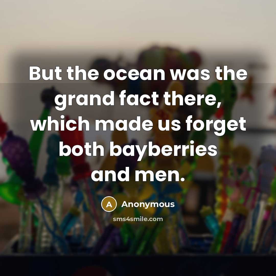“But the ocean was the grand fact there, which made…” quote by Anonymous
