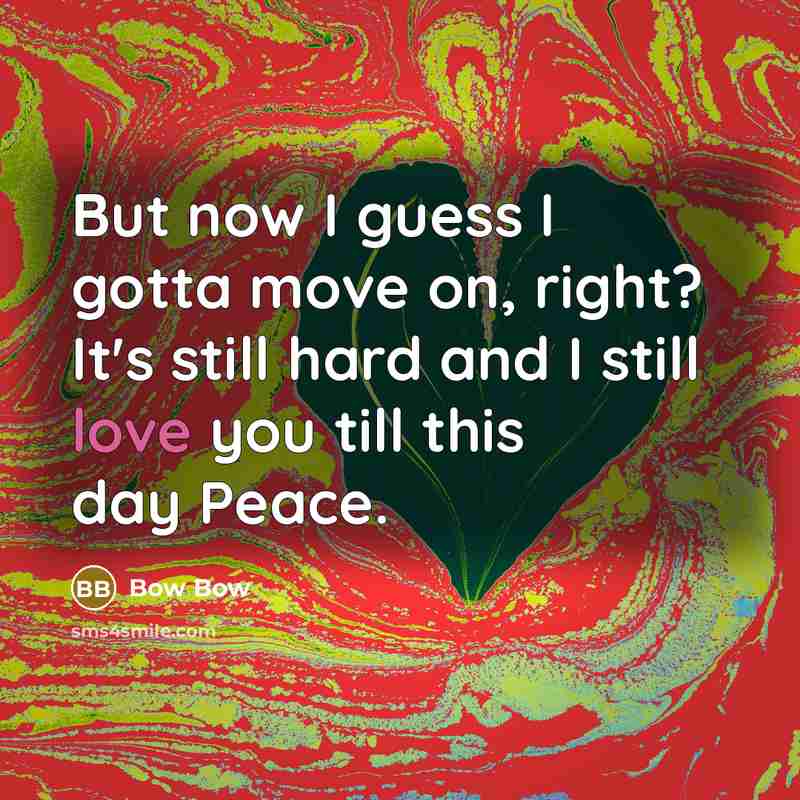 “But now I guess I gotta move on, right? It's…” quote by Bow Bow