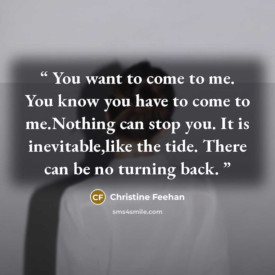 “You want to come to me. You know you have to come to me.Nothing can stop you. It is inevitable,like the tide. There can be no turning back.” quote by Christine Feehan