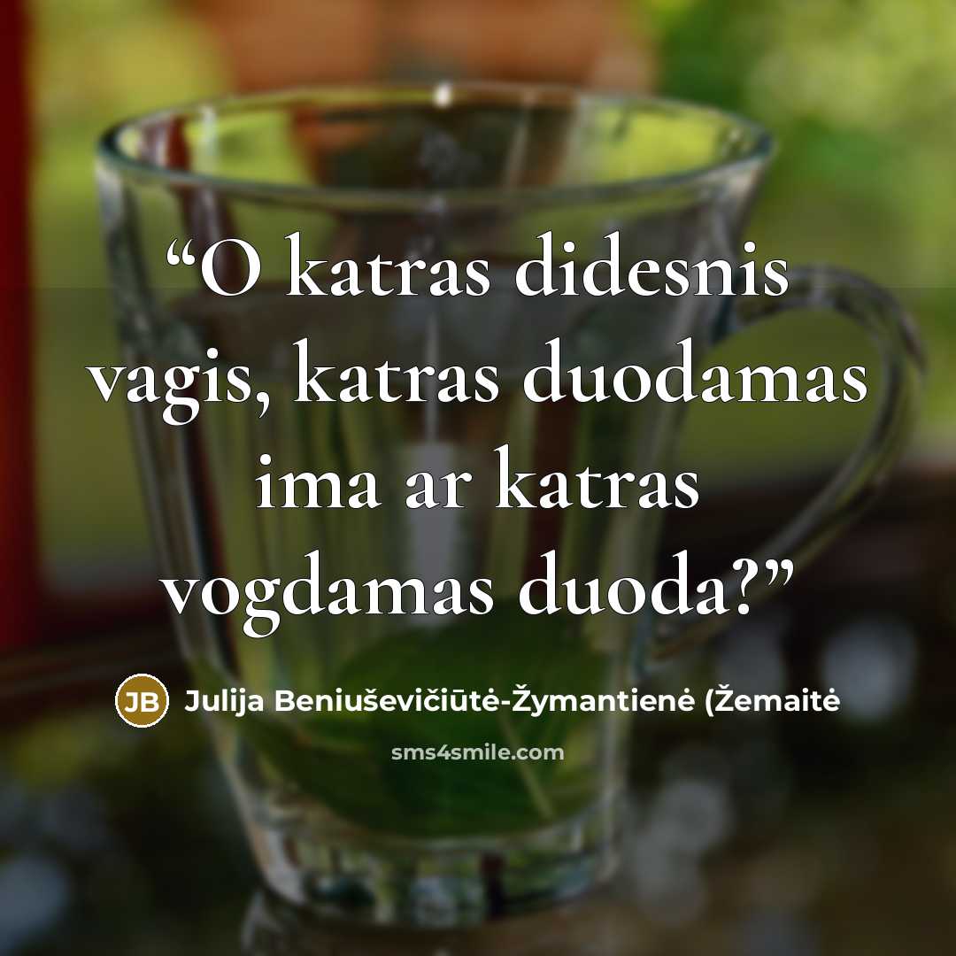 “O katras didesnis vagis, katras duodamas ima ar katras vogdamas duoda?” quote by Julija Beniuševičiūtė-Žymantienė (Žemaitė