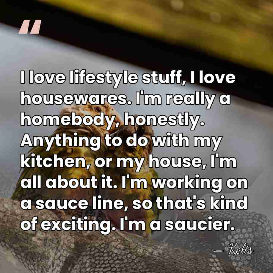 I love lifestyle stuff, I love housewares. I'm really a homebody, honestly.&hellip; - Kelis