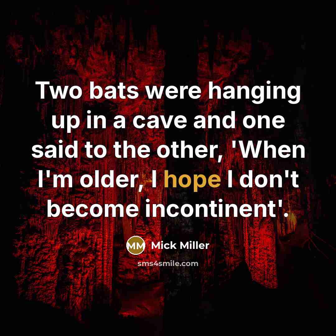 “Two bats were hanging up in a cave and one…” quote by Mick Miller