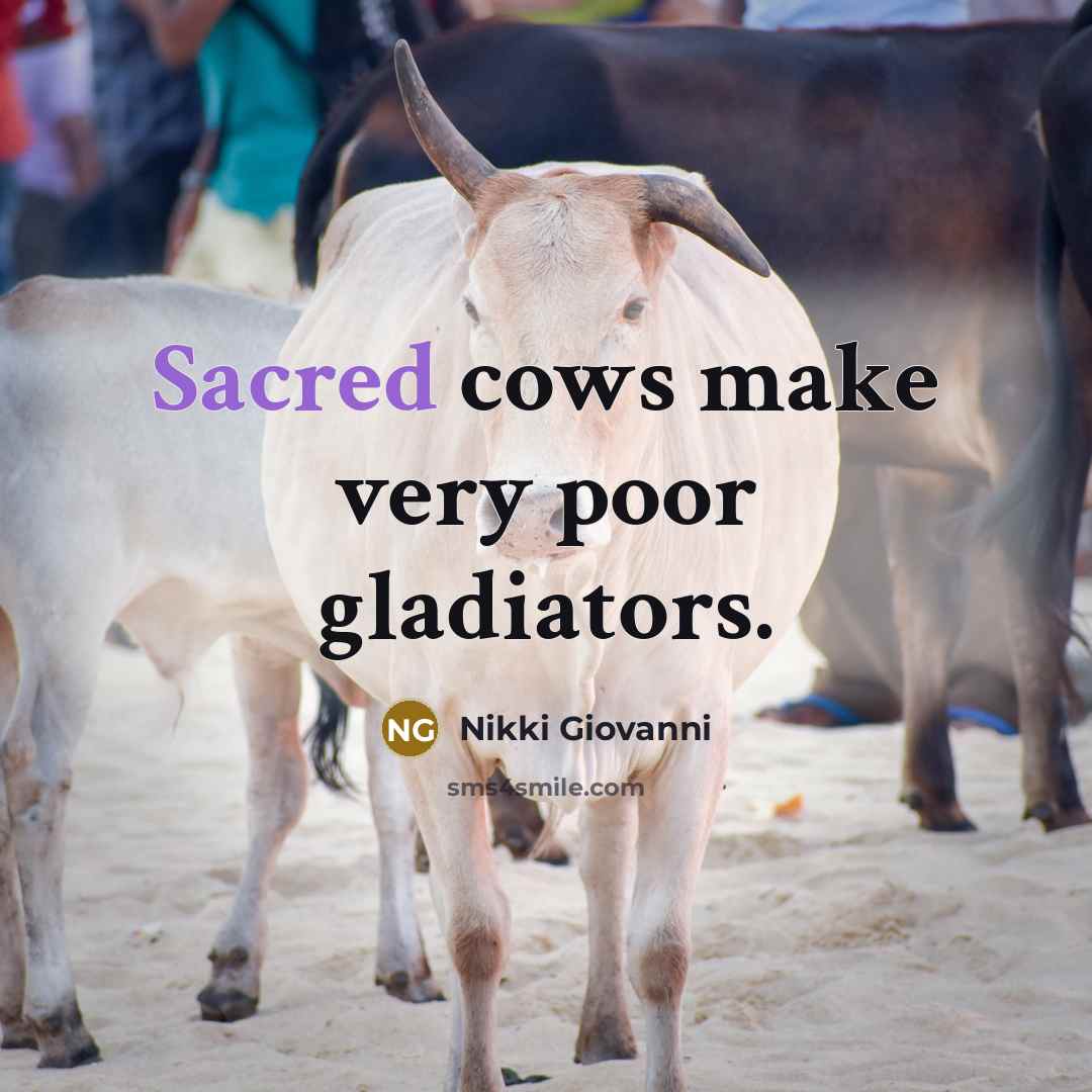 “Sacred cows make very poor gladiators.…” quote by Nikki Giovanni