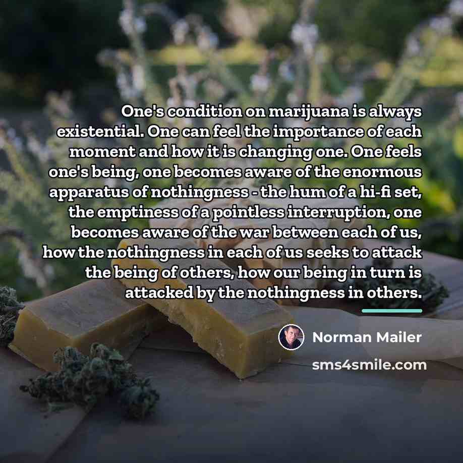 “One's condition on marijuana is always existential. One can feel…” quote by Norman Mailer