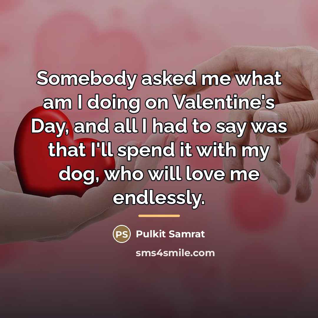 “Somebody asked me what am I doing on Valentine's Day,…” quote by Pulkit Samrat