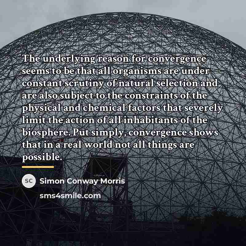“The underlying reason for convergence seems to be that all…” quote by Simon Conway Morris