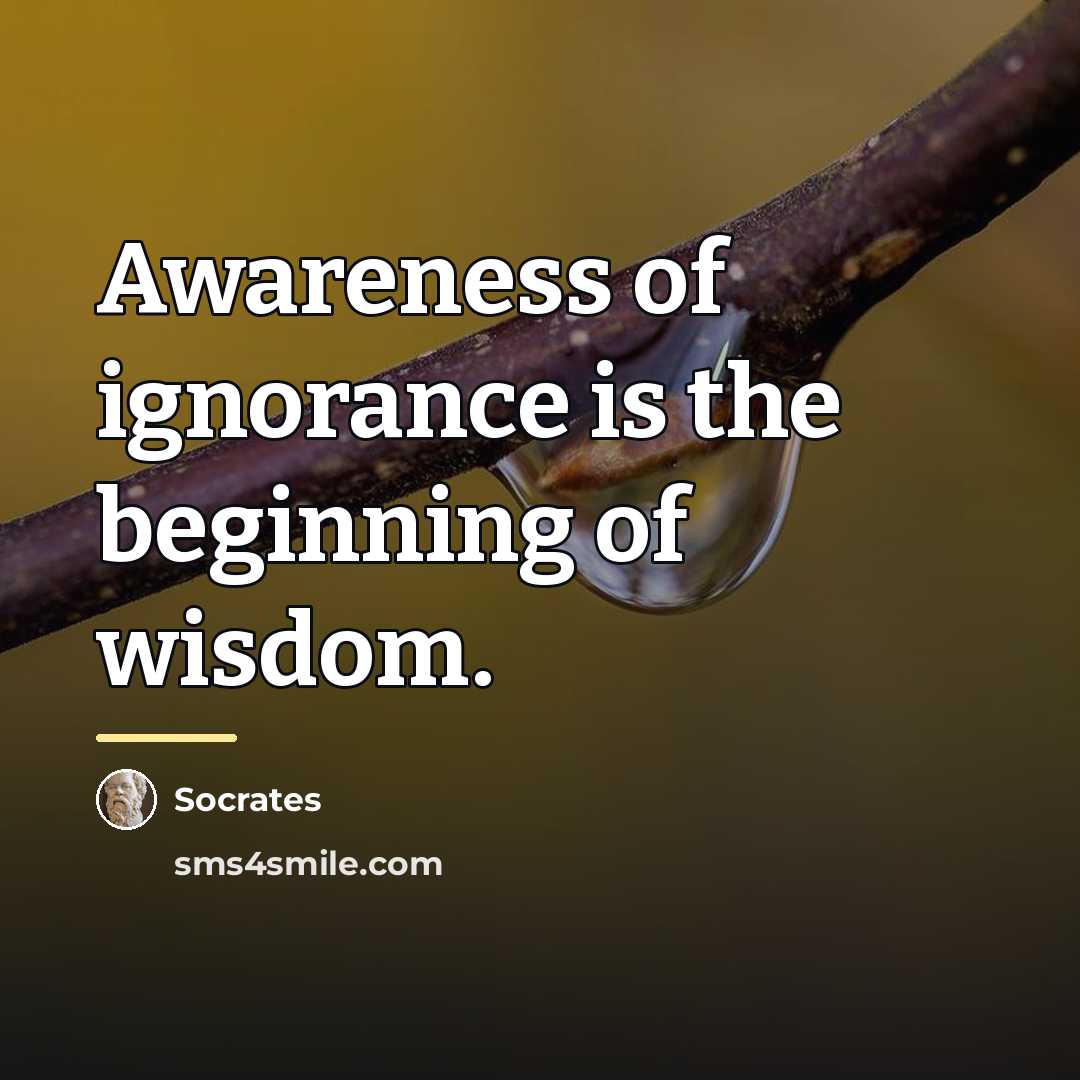 “Awareness of ignorance is the beginning of wisdom.…” quote by Socrates