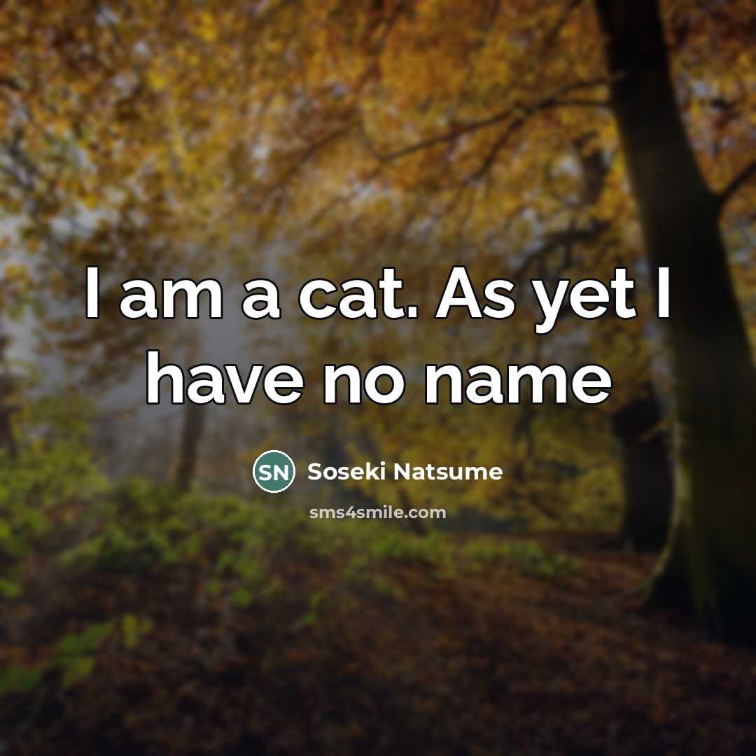 “I am a cat. As yet I have no name…” quote by Soseki Natsume