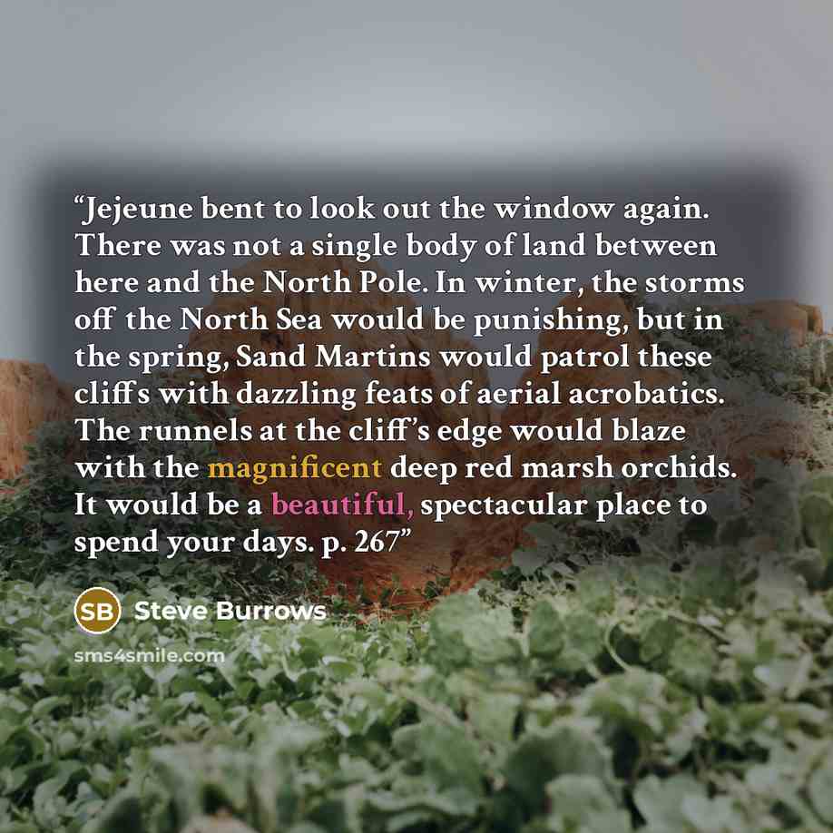 “Jejeune bent to look out the window again. There was not a single body of land between here and the North Pole. In winter, the storms off the North Sea would be punishing, but in the spring, Sand Martins would patrol these cliffs with dazzling feats of aerial acrobatics. The runnels at the cliff’s…” quote by Steve Burrows
