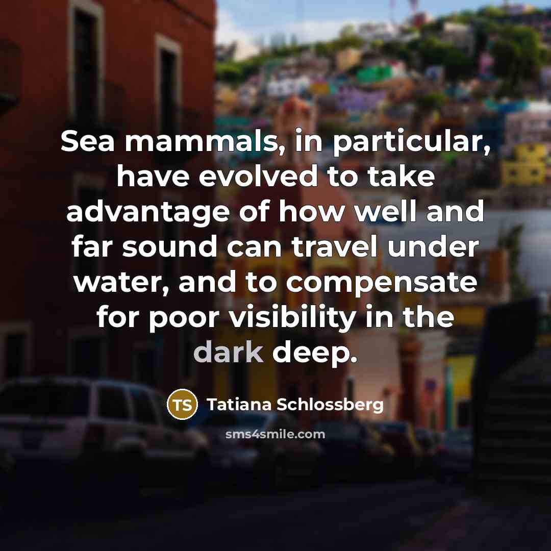 “Sea mammals, in particular, have evolved to take advantage of…” quote by Tatiana Schlossberg