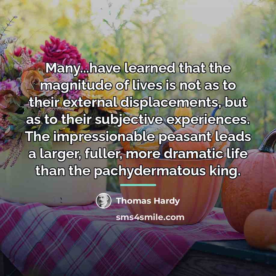 “Many...have learned that the magnitude of lives is not as…” quote by Thomas Hardy