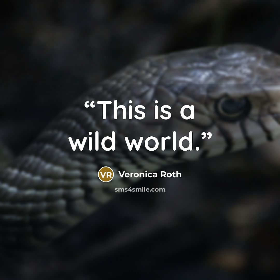 “This is a wild world.” quote by Veronica Roth