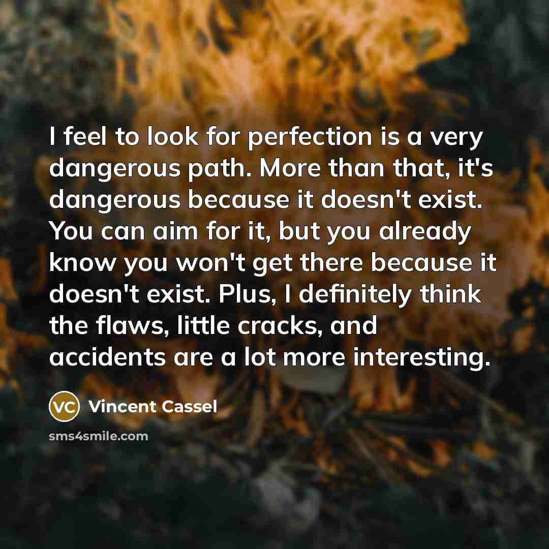 “I feel to look for perfection is a very dangerous…” quote by Vincent Cassel